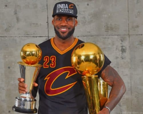Lebron James Nba Finals Basketball Painting By Numberss.png