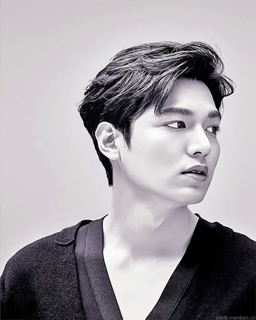 Lee Min Ho Black And White Actors Painting By Numbers.png