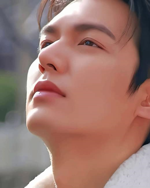 Lee Min Ho Face Actors Painting By Numberss.png