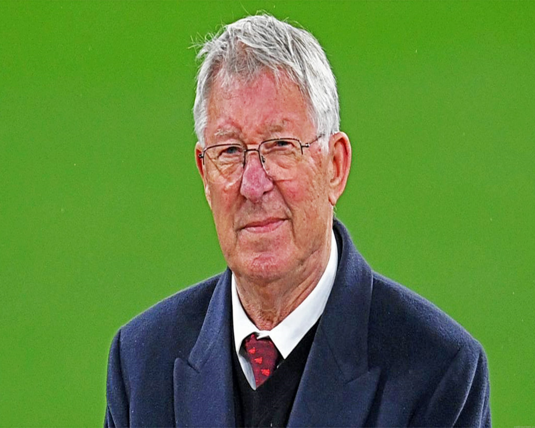 Legendary Manchester United Boss Sir Alex Ferguson Painting By Numbers.png