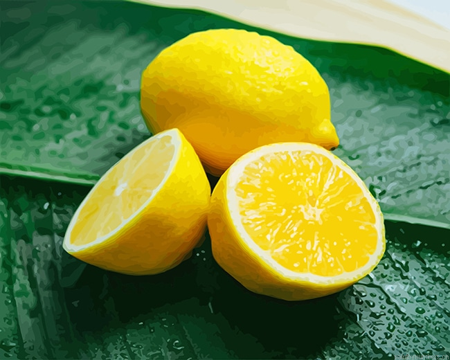 Lemon Food Painting By Numberss.png
