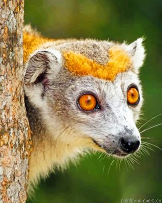 Lemur Painting By Numbers.png