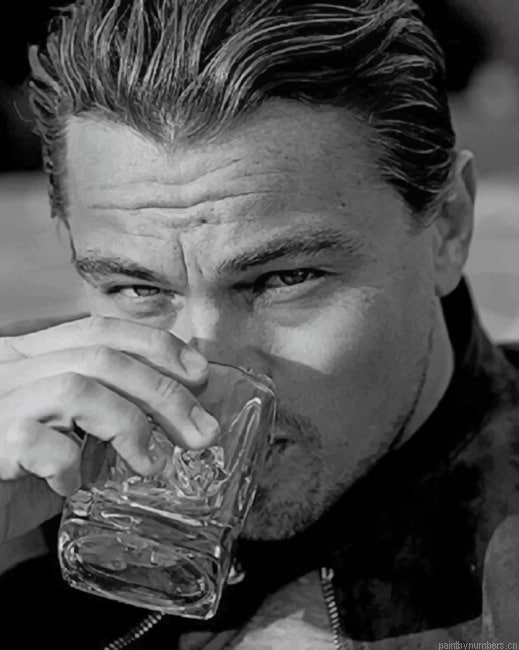Leo Dicaprio Black And White Actors Painting By Numberss.png