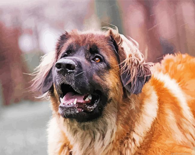 Leonberger Dog Painting By Numberss.png