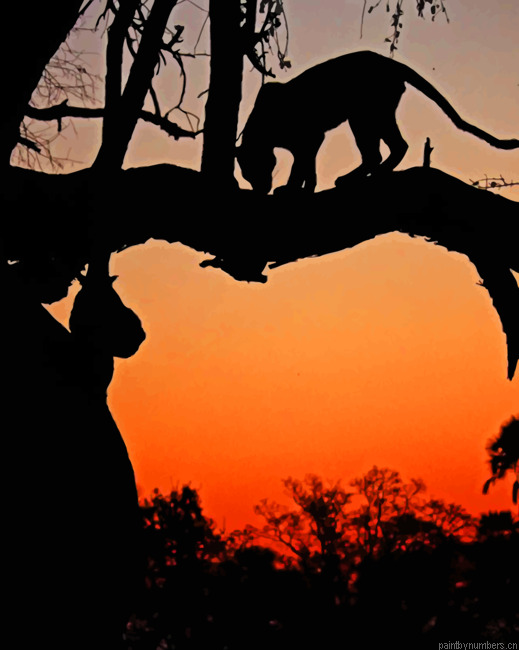 Leopard Silhouette Animals Painting By Numberss.png