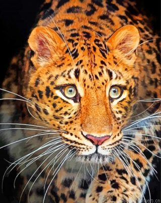 Leopard Wild Animal Painting By Numbers.png