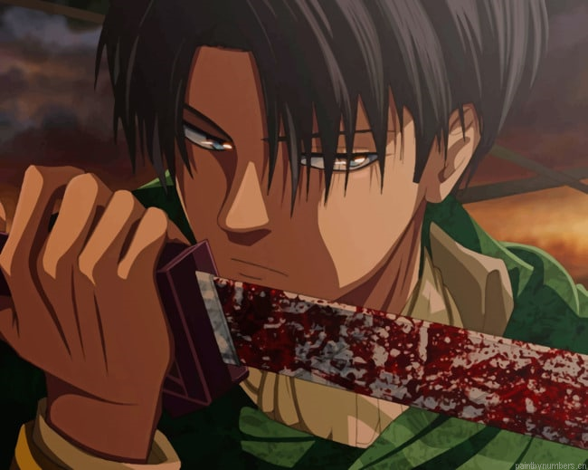 Levi Attack On Titans Animations Painting By Numberss.png