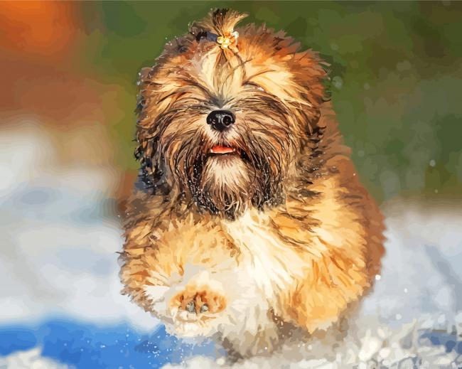 Lhasa Apso Painting By Numberss.png