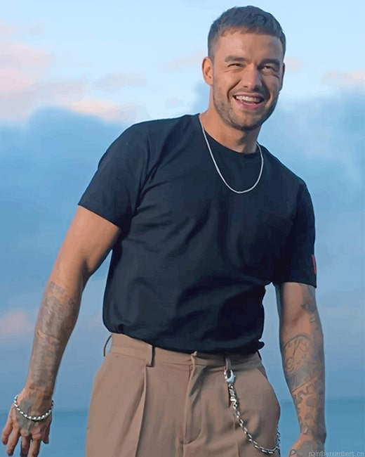 Liam James Payne Smiling Singers Painting By Numberss.png