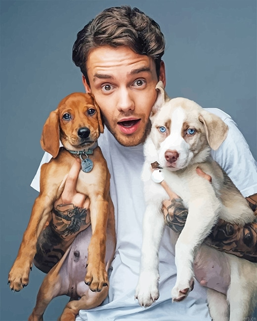 Liam Payne And His Pets Painting By Numbers.png
