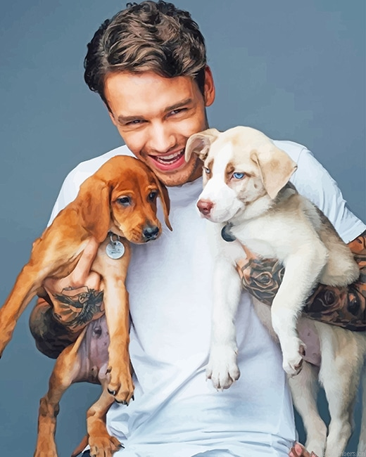 Liam Payne And Puppies Singers Painting By Numberss.png