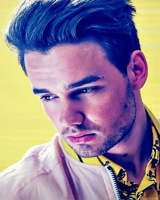 Liam Payne One Direction Singers Painting By Numbers.png