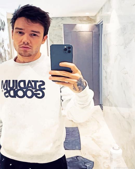 Liam Payne Selfie Singers Painting By Numberss.png