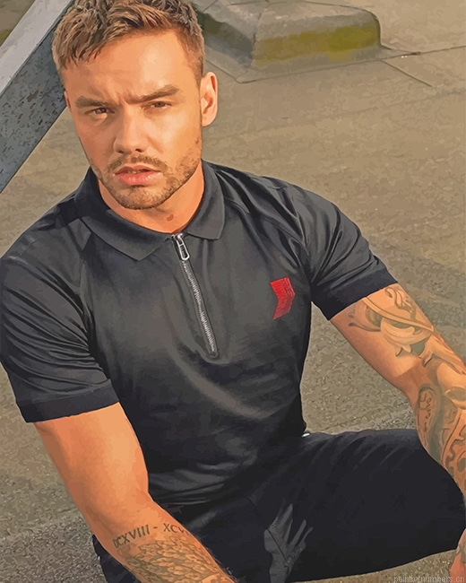 Liam Payne Singer Painting By Numbers.png