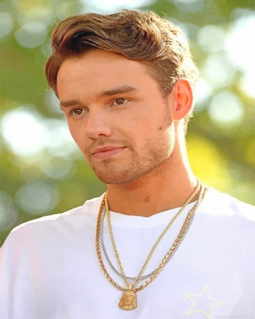 Liam Payne Singers Painting By Numberss.png