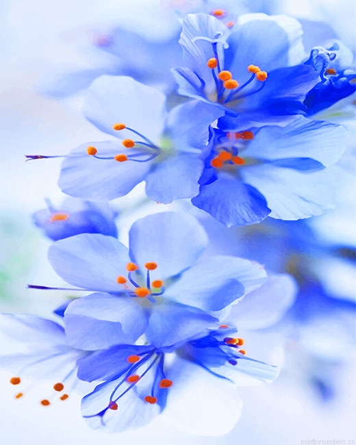 Light Blue Orchid Plants Painting By Numberss.png