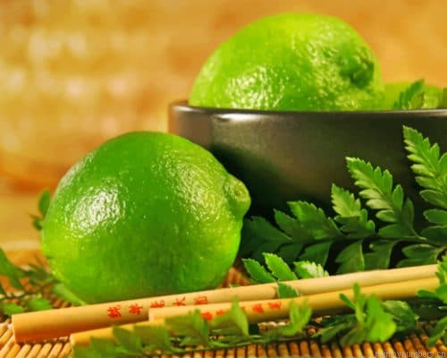 Lime Fruits Food Painting By Numbers.png