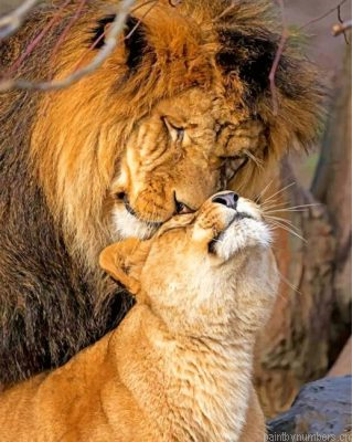 Lion And Lioness Animal Painting By Numbers.png