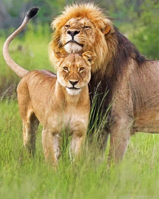 Lion And Lioness Couple Painting By Numbers.png