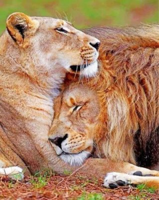 Lion And Lioness Love Painting By Numbers.png