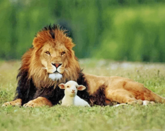 Lion And The Lamb Painting By Numbers.png