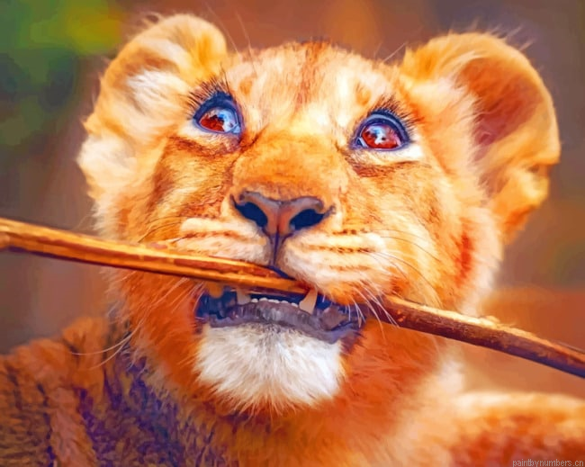 Lion Cub With Stick Animals Painting By Numberss.png