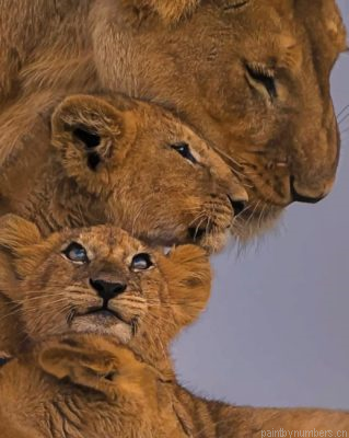 Lion Family Painting By Numbers.png