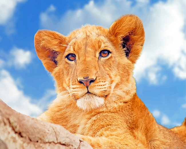 Lioness Under Blue Sky Animals Painting By Numberss.png