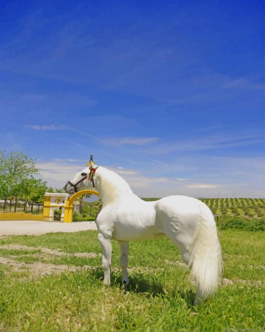 Lipizzan White Horse Animals Painting By Numberss.png