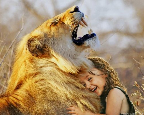 Little Girl Hugging A Lion Painting By Numbers.png