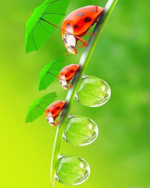 Little Ladybugs Insects Painting By Numberss.png