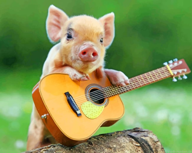 Little Pig With Guitar Animals Painting By Numberss.png