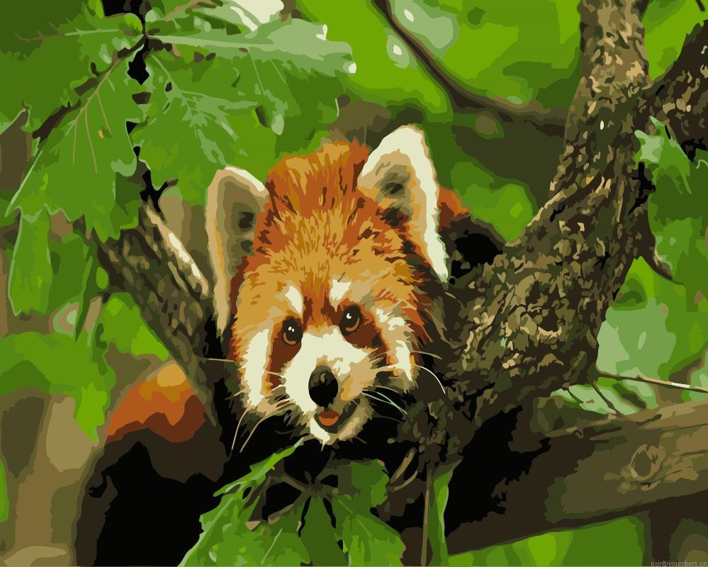 Little Red Panda On A Branch Painting By Numbers.png