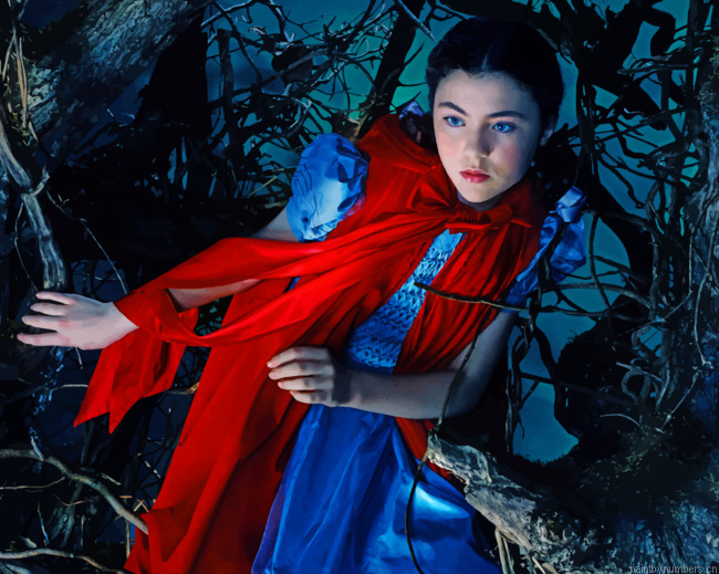 Little Red Riding Hood Movies Painting By Numberss.png