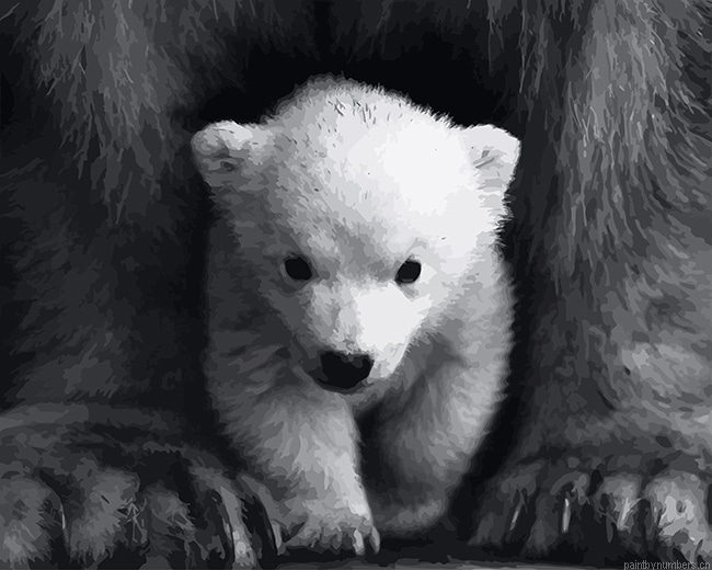 Little White Bear Animals Painting By Numberss.png