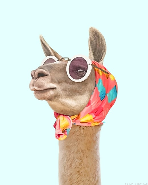 Llama Fashion Animals Painting By Numbers.png