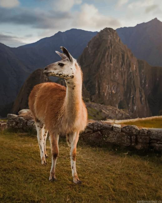 Llama In The Mountains Animals Painting By Numberss.png