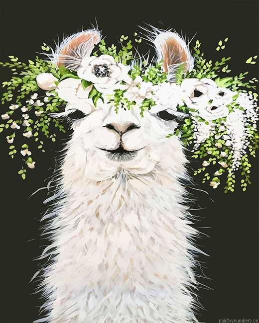 Llama With Flowers Animals Painting By Numbers.png