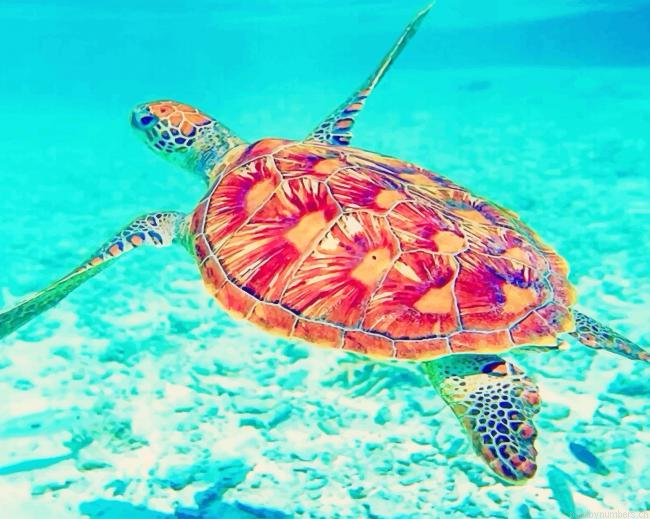 Loggerhead Sea Turtle Animals Painting By Numbers.png