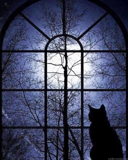 Lonely Cat Silhouette Animals Painting By Numberss.png