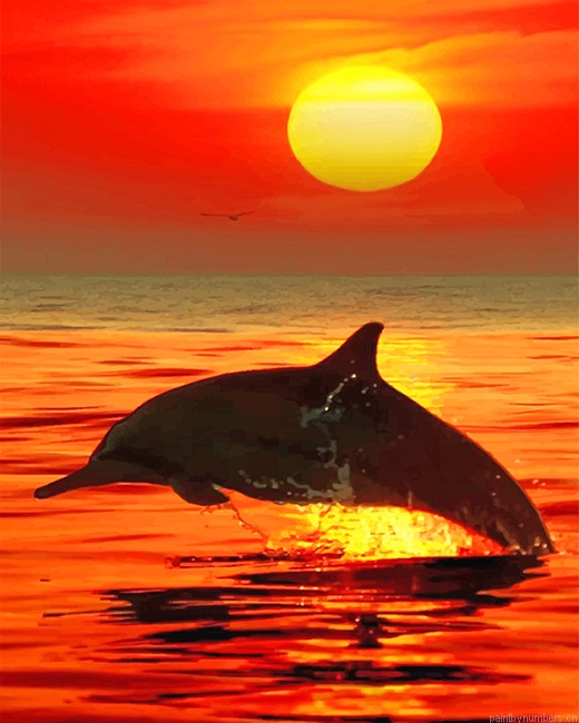 Lonely Dolphin Sunset Painting By Numbers.png