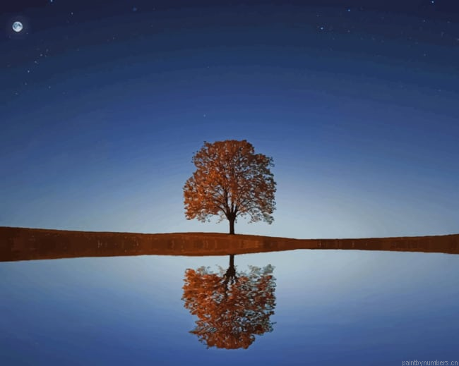 Lonely Reflected Tree Landscapes Painting By Numberss.png