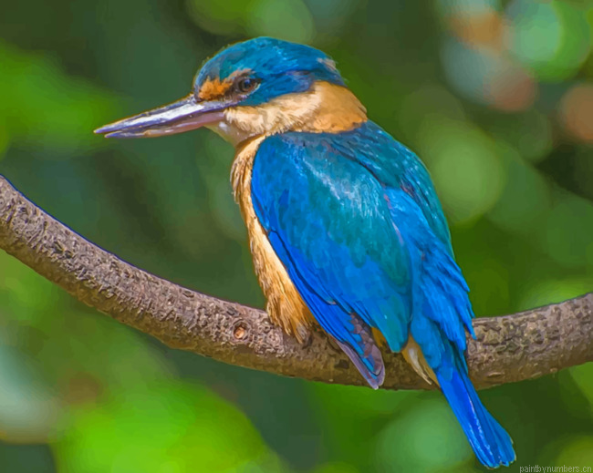 Long Beaked Brown And Blue Bird Painting By Numberss.png