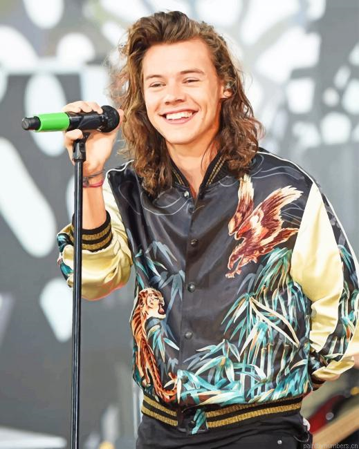 Long Hair Harry Styles Singers Painting By Numberss.png