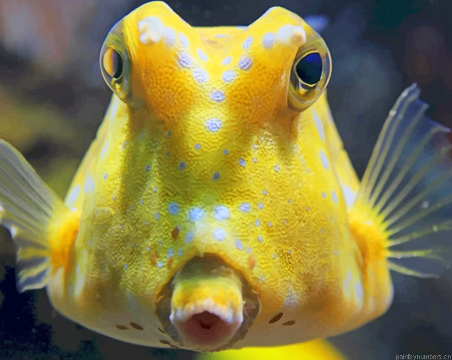 Longhorn Cowfish Reef Painting By Numberss.png