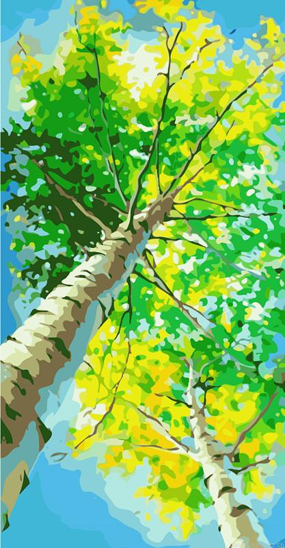 Looking Up At Trees Painting By Numbers.png