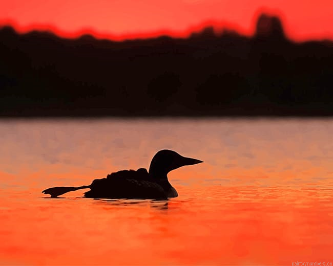 Loons Summer Sunset Birds Painting By Numberss.png