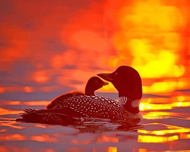 Loons Sunset Birds Painting By Numberss.png