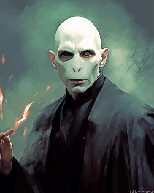 Lord Voldemort Art Painting By Numberss.png