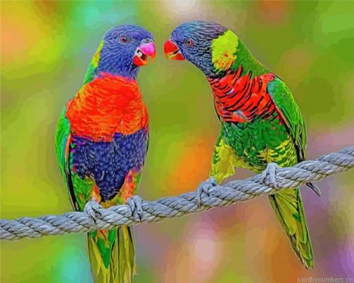 Lorikeet Birds Painting By Numbers.png